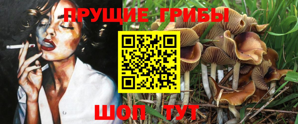 где можно купить   Псилоцибиновые грибы Psilocybine cubensis  Вход с VPN  Реж  Псилоцибиновые грибы GOLDEN TEACHER 